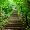Social Media And Small Businesses: 5 Simple Steps For Success Path to success--5 simple steps to social media