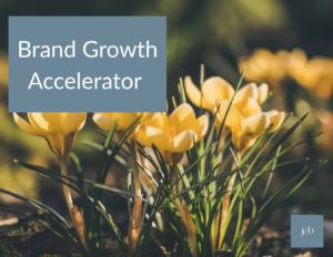 Brand Growth Accelerator