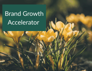 Brand Growth Accelerator