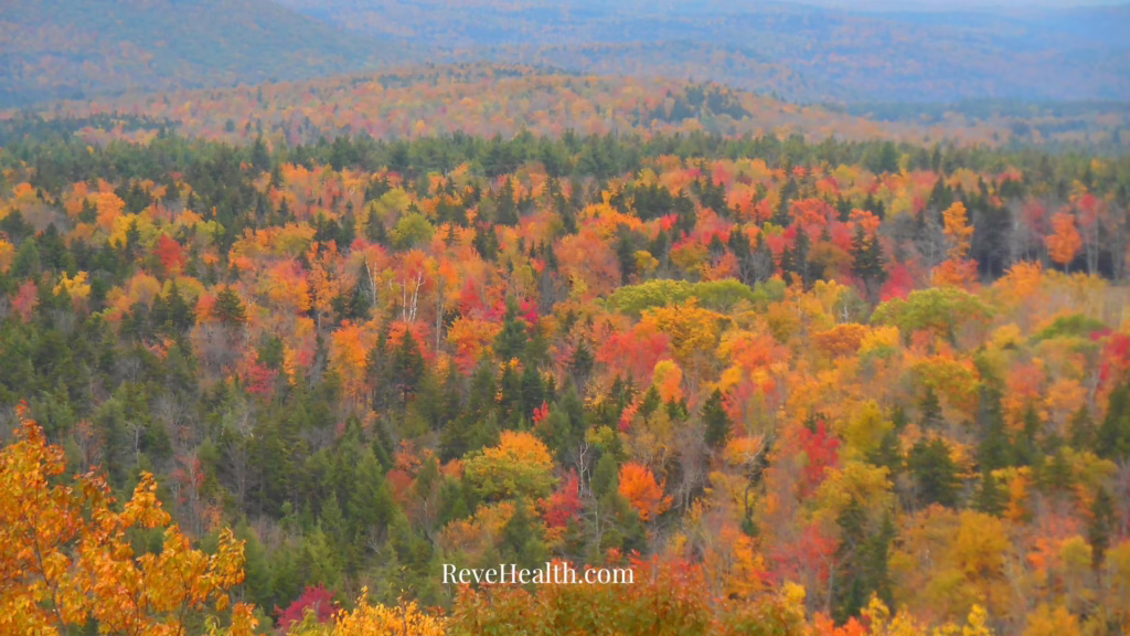 Vermont-leaves-fall