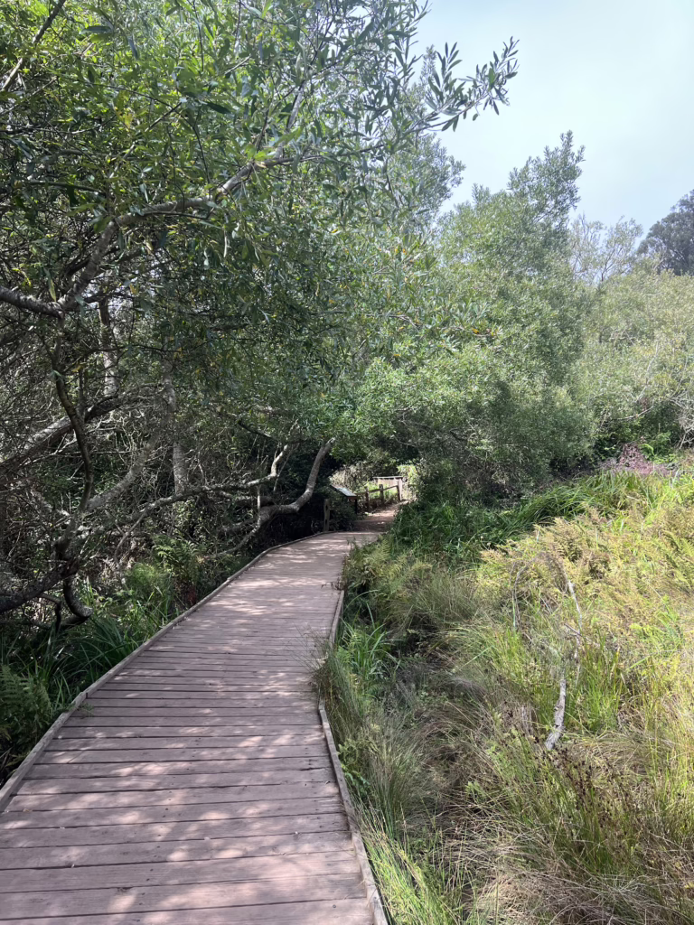 paths