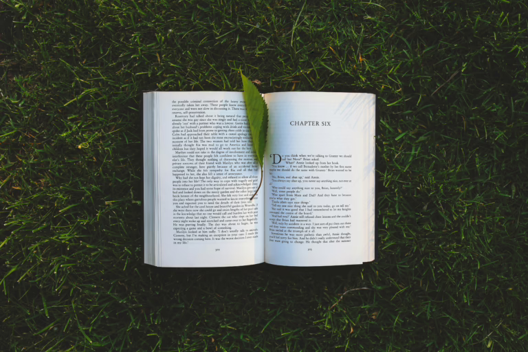 An open book lies on the grassy field with a leaf, evoking relaxation and summer reading vibes.