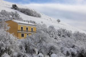 Yellow house amidst snowy hillside and frosty trees in winter landscape.