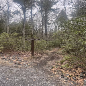 I Almost Died in 2022. Here Is Why I Now Run Trails at Zone 4