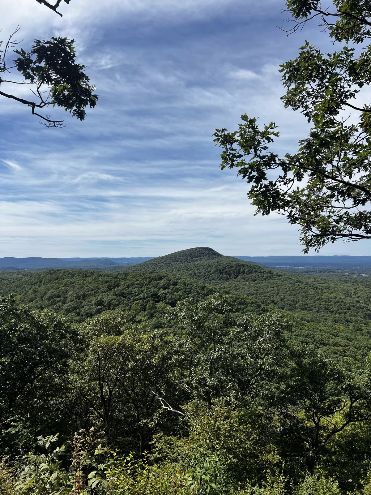 The view from the top of Long Mountain in Granby, Massachusetts, forested hills under a wide September sky framed by oak branches