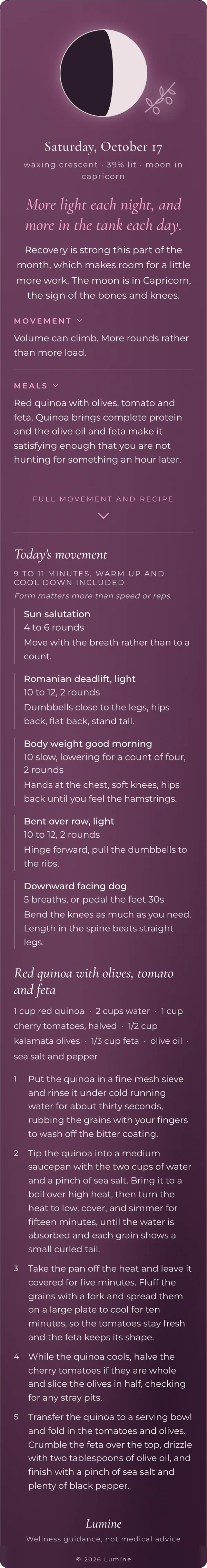 A Lumine daily card scrolling through the day's movement and recipe